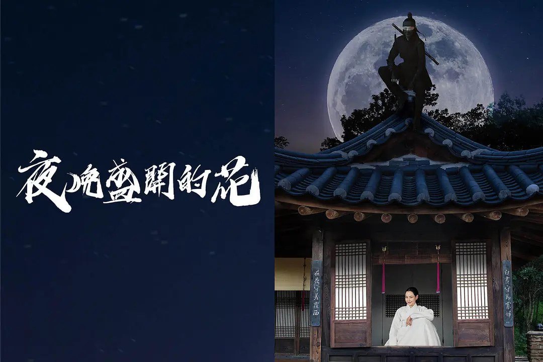 夜晚开的花 밤에 피는 꽃 (2024)